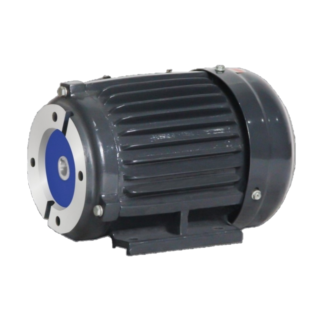 TB Series Three  Phase Motor