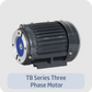 TB Series Three  Phase Motor