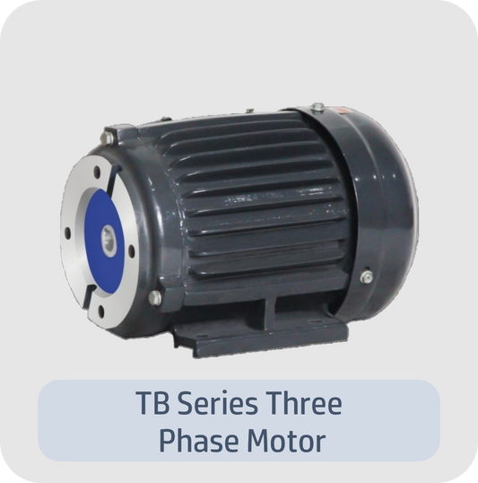 TB Series Three  Phase Motor