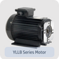 YLLB Series Motor