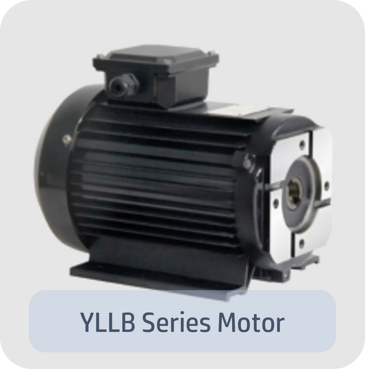 YLLB Series Motor